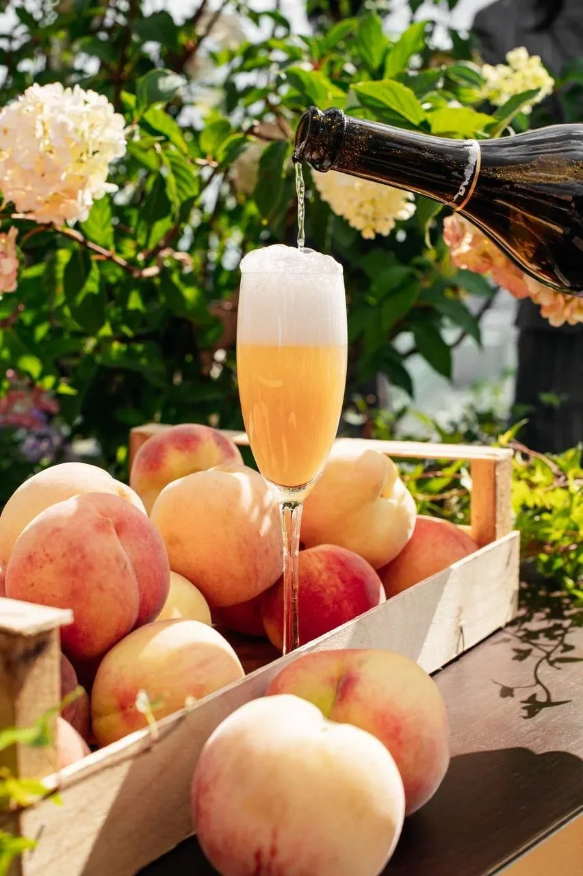 Bellini O2+CLB